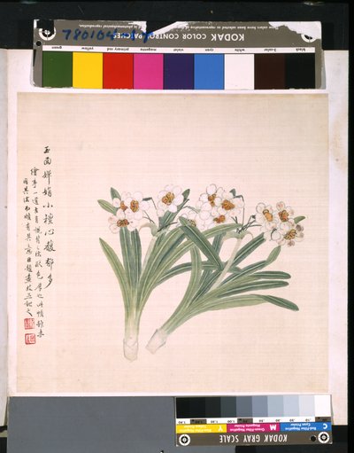 Album van bloemen en vogels door School Chinese