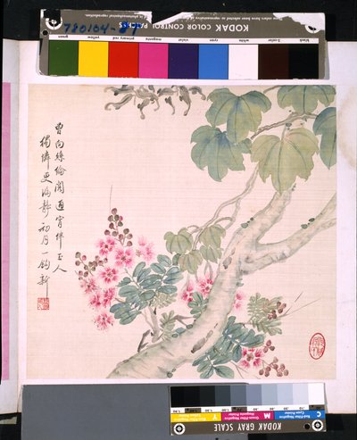 Album van Bloemen en Vogels, datum onbekend door School Chinese