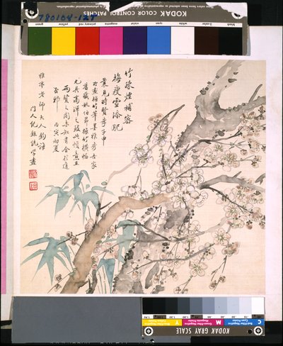 Album van bloemen en vogels, datum onbekend door School Chinese
