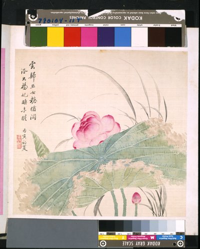 Album van Bloemen en Vogels, datum onbekend door School Chinese