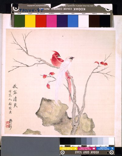 Album van Bloemen en Vogels, datum onbekend door School Chinese