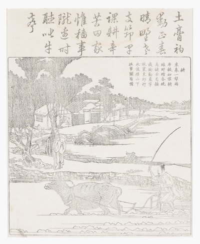 Ploegen met een waterbuffel in modderige rijstvelden door School Chinese