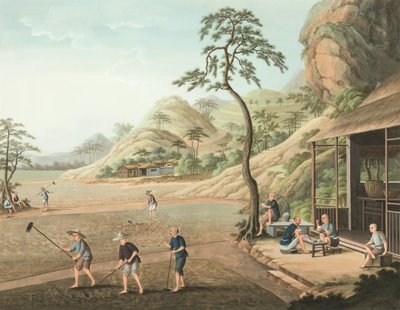 Theeproductie, ca. 1820 door School Chinese