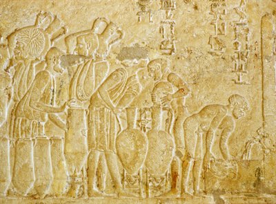 Oud Egypte, Muur gravure, Graf van Petosiris, 300 v.Chr., Tunael Gebel, Verzamelen en bottelen van de wijn door School Egyptian