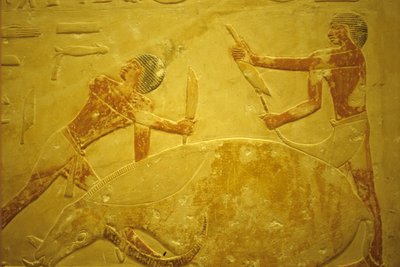 Oude Egypte, muurgravure, Mastaba/Tombe van Idout, Saqqara, 2323-2150 v.Chr., stier geslacht voor offer door School Egyptian