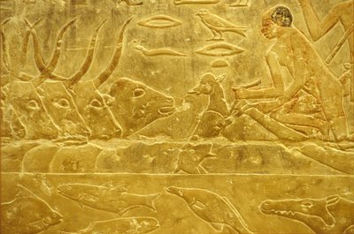 Oud Egypte, Muurgravure/schildering, Mastaba/Graf van Idout, Saqqara, 6e Dynastie, Vee dat een rivier oversteekt, Man helpt een kalf over een rivier, Moeder kijkt toe door School Egyptian
