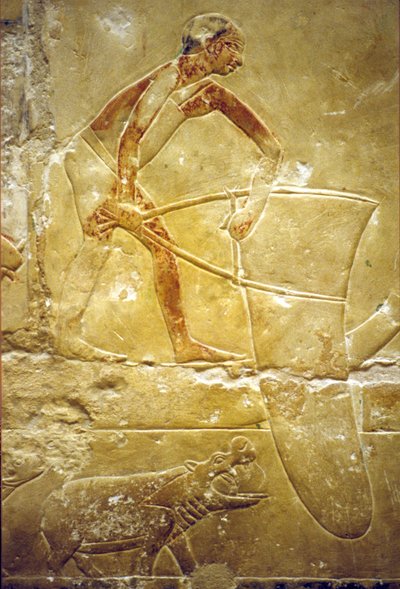 Oud Egypte, muurgravure/schildering, Mastaba/Graf van Idout, Saqqara, 6e Dynastie, vissen met een valnet, nijlpaard door School Egyptian