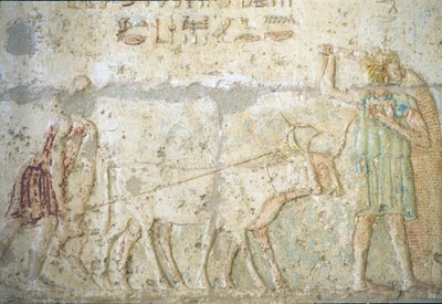 Oude Egypte, muurschildering, Graf van Petosiris, Tuna el Gebel, 300 v.Chr., Ploegen en zaaien van gewassen door School Egyptian