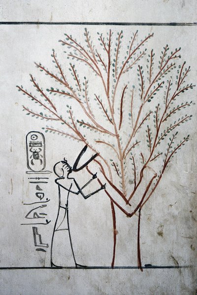 Luxor, Thebe: Vallei der Koningen. Graf van Thutmosis (Tuthmosis of Thutmes) III (-1504 - -1450), Farao van Egypte. door School Egyptian
