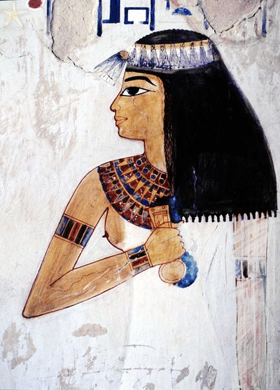 Luxor Thebe: Westelijke Oever, Necropolis van de Edelen, Vallei der Edelen. Graf van Menna (18e Dynastie) door School Egyptian