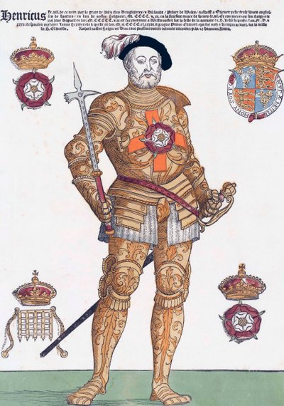 Koning Hendrik VIII van Engeland door School English