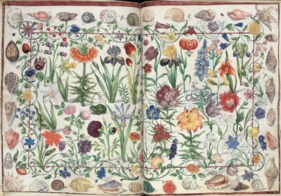 Pagina