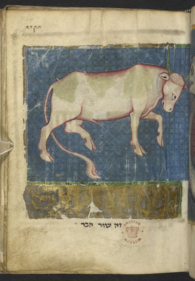 Een stier, uit een Miscellany van bijbelse en andere teksten (