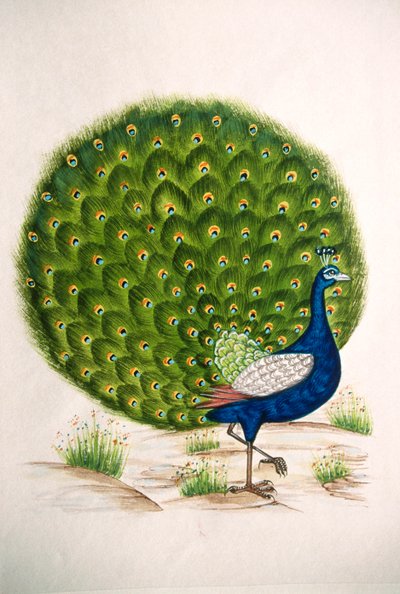 Miniatuurschilderij op zijde van een pauw door School Indian