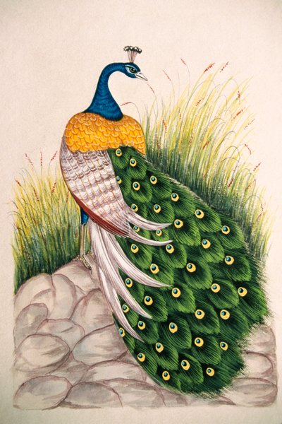 Miniatuurschilderij op zijde Pauw door School Indian