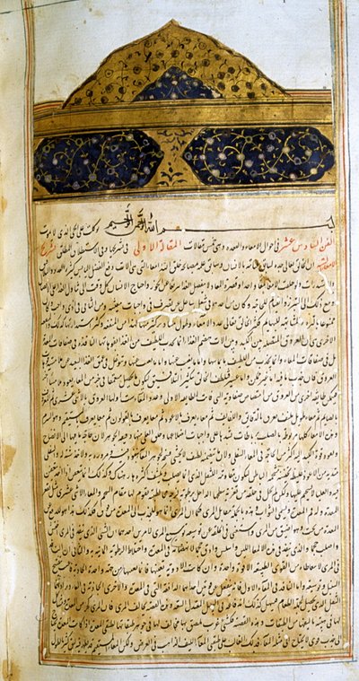 Pagina uit De Canon van de Geneeskunde (al-Qānūn fī aṭ-Ṭibb) door Avicenna door School Iranian