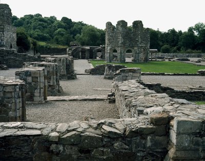 Mellifont Abbey nabij Drogheda door School Irish