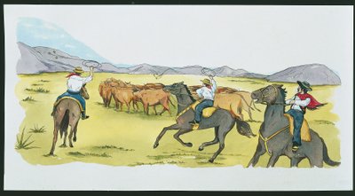 Argentinië - gaucho