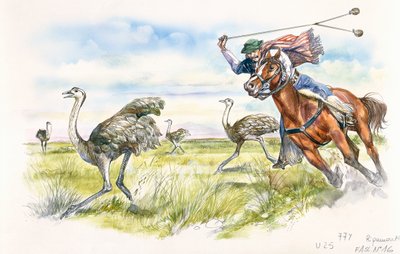 Argentinië - veehouders jagen op nandoes in de Pampas door School Italian