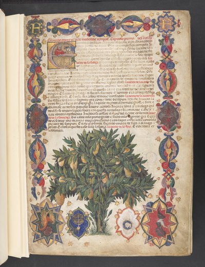 Volledige rand met heraldische decoratie en gehistoriseerde initiaal 