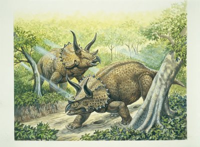 Triceratops horridus, Krijtperiode door School Italian