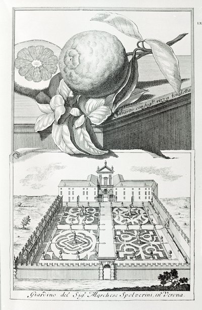 Villa van Markies Spolverini van Verona, uit "Villas, Gardens and Landscapes in Venice" door A. Volkamer door School Italian