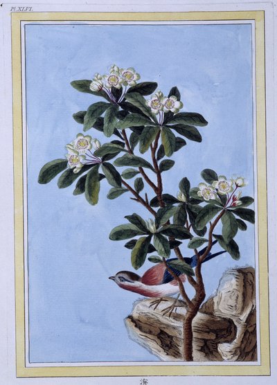 Vogel - Japanse prent door Japanese School
