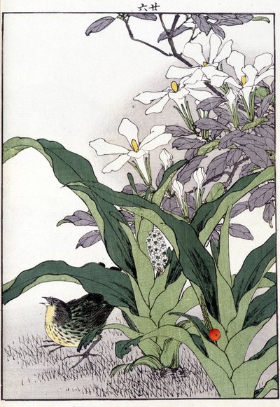 Vogel in de bloemen - Japanse prent door Japanese School