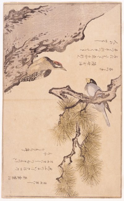 Twee Vogels op een Boom door School Japanese