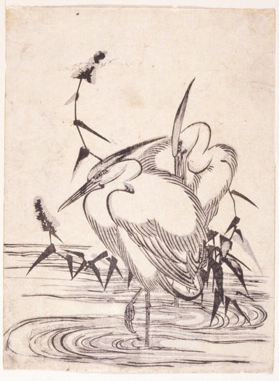 Twee reigers door School Japanese