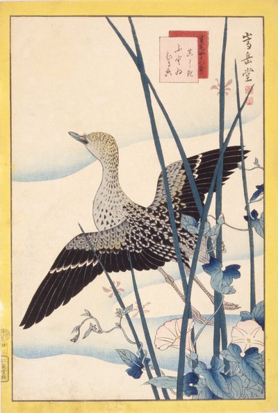 Wilde Eend door School Japanese