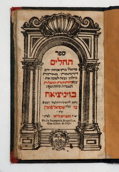 Boek van Tehilim door School Jewish