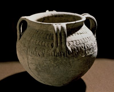 Archeologie van de Middeleeuwen: Barbaarse kunst van Gallië: Gegraveerde keramische vaas door School Merovingian