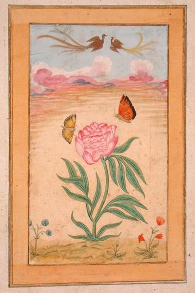 Bloeiende planten met paradijsvogels en vlinders, uit het Small Clive Album door School Mughal