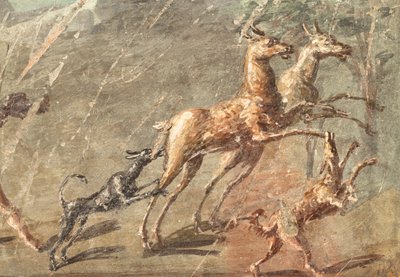  door School Roman
