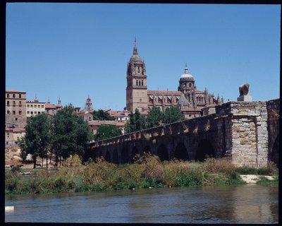 Uitzicht op Romeinse brug over rivier, Tormes en kathedraal door School Spanish