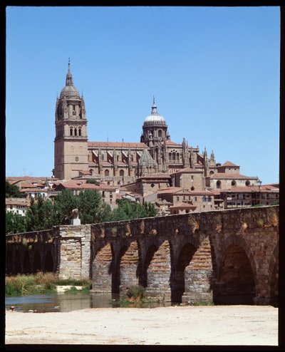 Uitzicht op Romeinse brug over de rivier Tormes en kathedraal door School Spanish