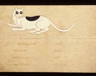 Blad van een manuscript over Siamese katten, begin 20e eeuw door School Thai