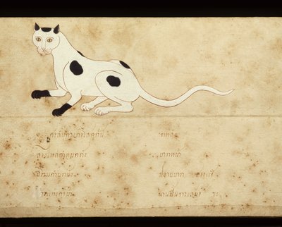 Blad van een manuscript over Siamese katten, begin 20e eeuw door School Thai