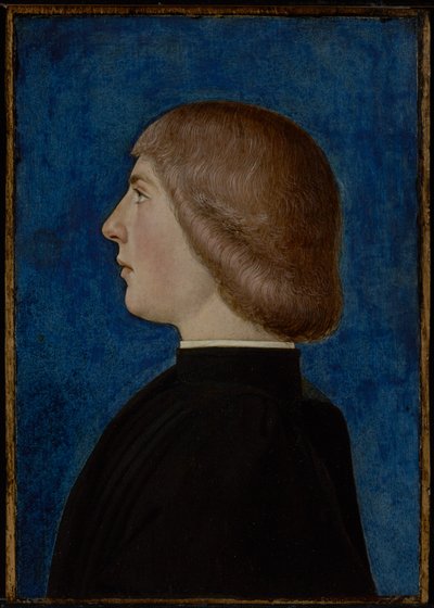 Portret van een Jongeman, tweede helft van de 15e eeuw door School of Ferrare