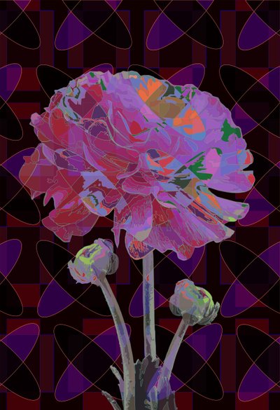 Anjer, 2019 door Scott J. Davis
