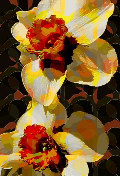 Narcis (digitaal) door Scott J. Davis