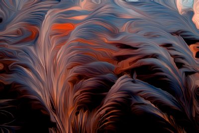 Veer door Scott J. Davis