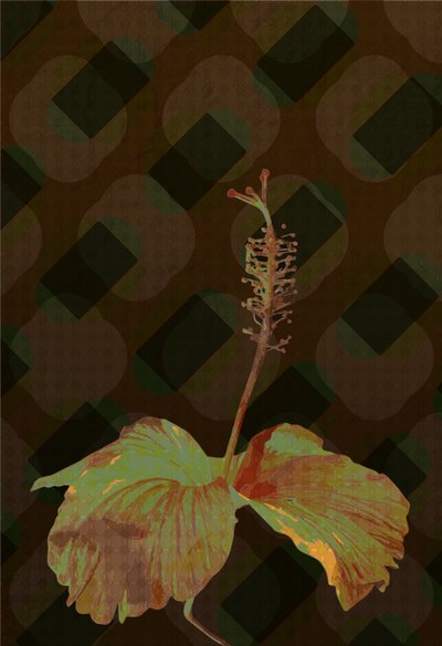 Hibiscus, 2019 door Scott J. Davis