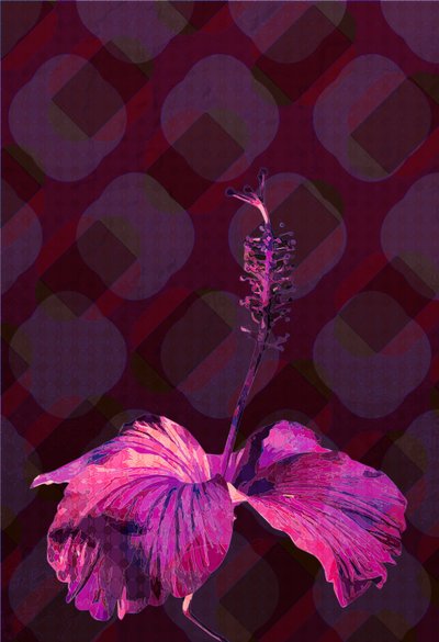 Hibiscus3 door Scott J. Davis
