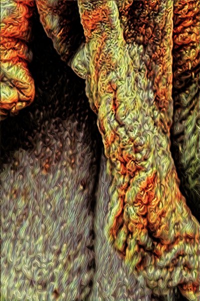 Boomstam, 2021 door Scott J. Davis