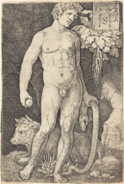 Adam Staand door Sebald Beham