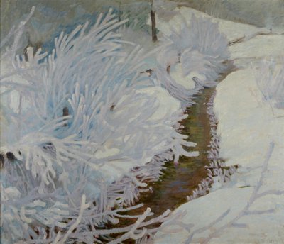 Beek in de winter door Sebastian Isepp