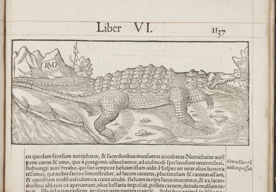 Cosmographia, Fol 1137, 1544 door Sebastian Munster