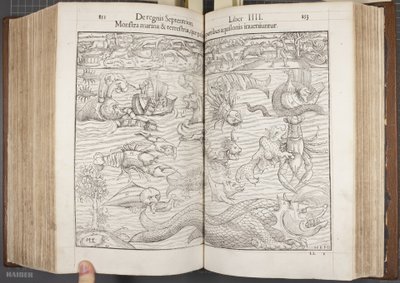 Cosmographia, Fol 852-853, 1544 door Sebastian Munster